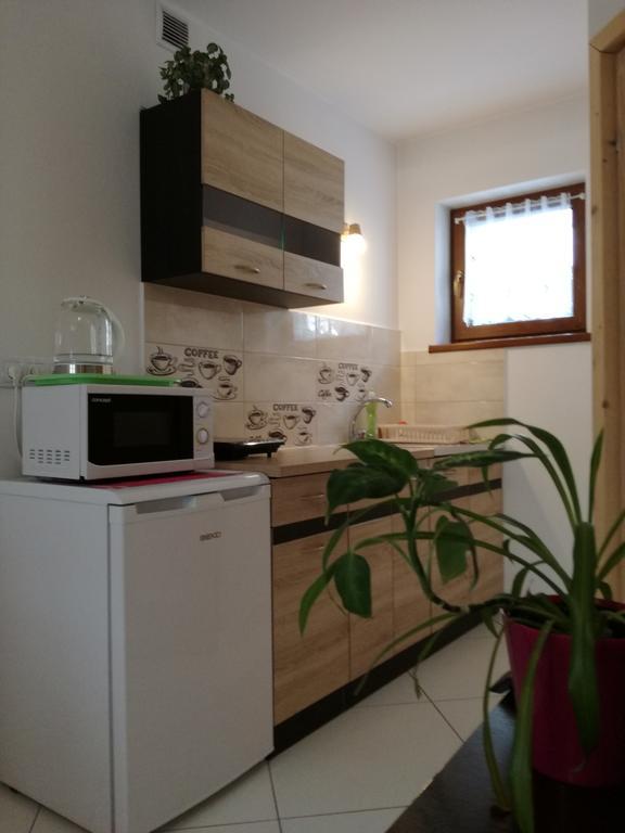 Apartamenty U Samkow Закопане Екстер'єр фото